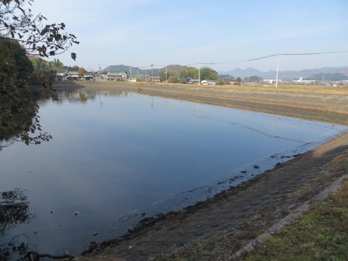 丹波篠山市谷山/生来池写真