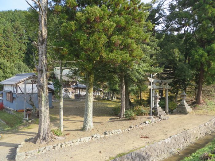 丹波篠山市岩崎/春日神社鎮守の森写真