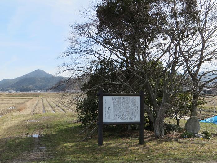 丹波篠山市野中/忠節乙女塚写真