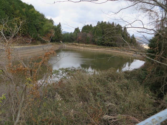 丹波篠山市小枕/馬口池写真