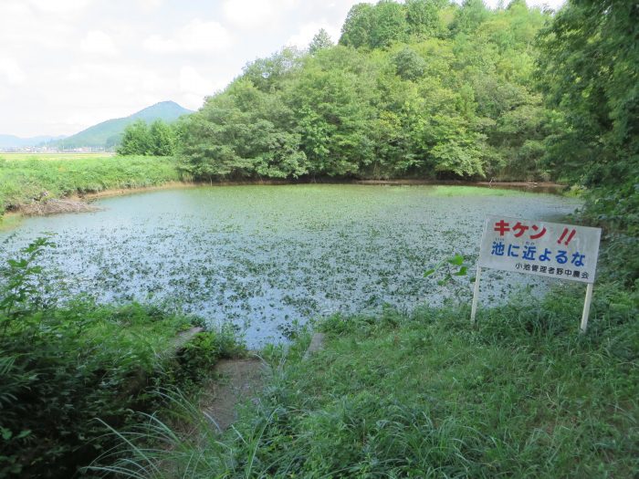 丹波篠山市小枕/小池写真