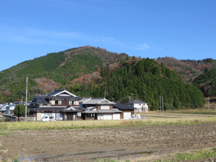 丹波篠山市殿町/蕪丸城跡(奥谷城跡)写真