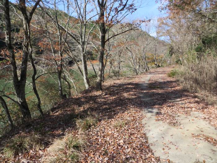 丹波篠山市小多田/奥谷池写真