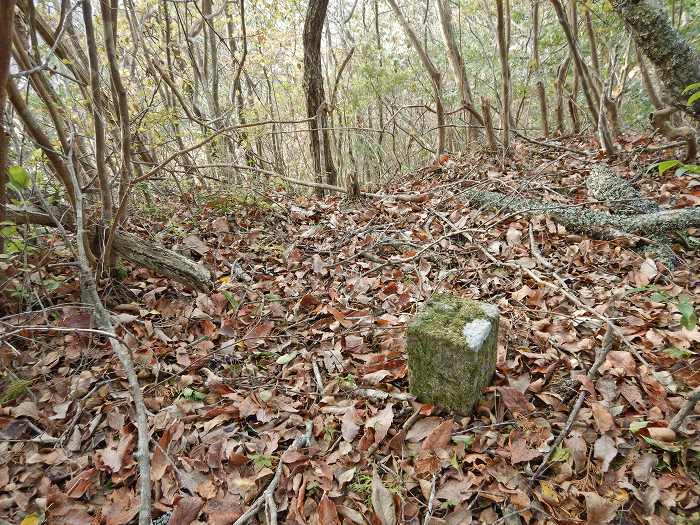 丹波篠山市殿町/法光寺山写真