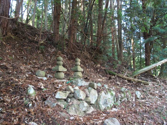 丹波篠山市殿町/東仙寺谷五輪塔写真