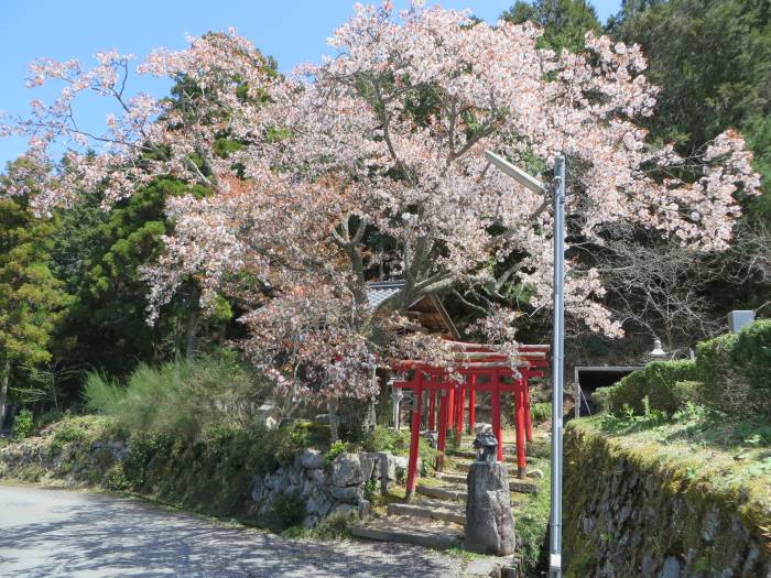 丹波篠山市野々垣/徳寿寺稲荷社写真