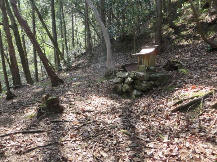 丹波篠山市曽地奥/神明神社写真