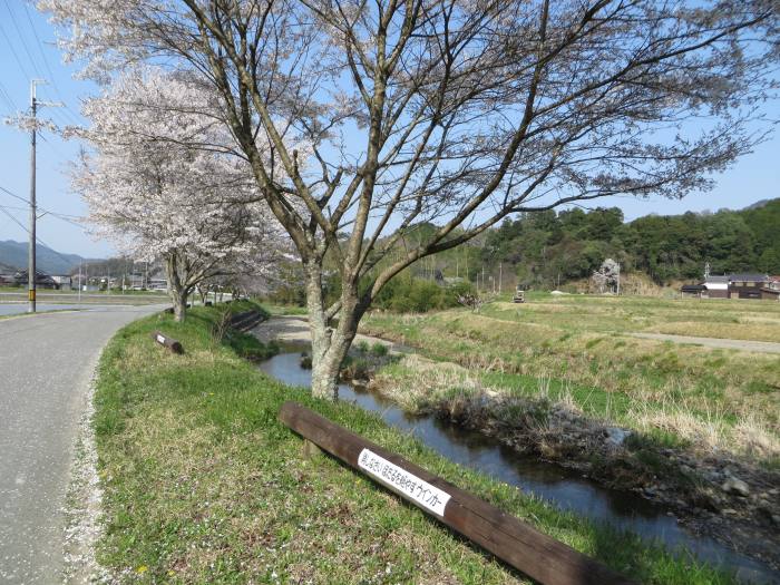 丹波篠山市曽地中/ほたるの里写真