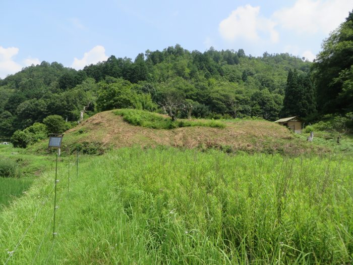 丹波篠山市曽地中/洞中古墳二号石室入り口写真