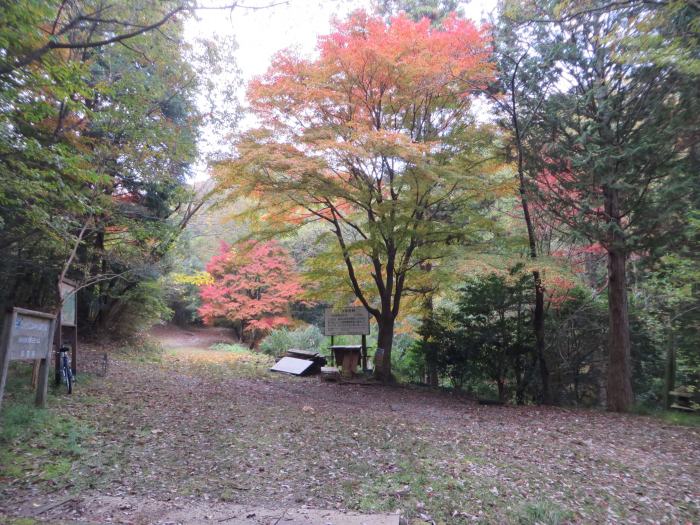 丹波篠山市曽地中/旧城東薬師野ヶ原キャンプ場写真