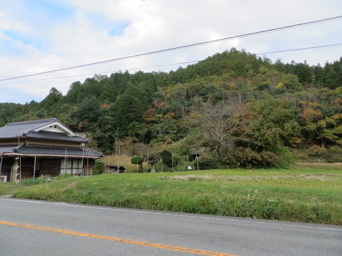 丹波篠山市曽地中/洞中古墳一号写真