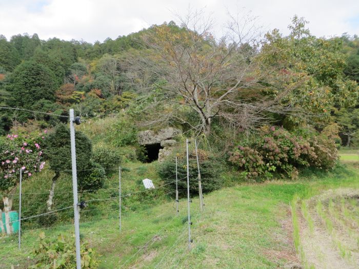 丹波篠山市曽地中/洞中古墳一号写真