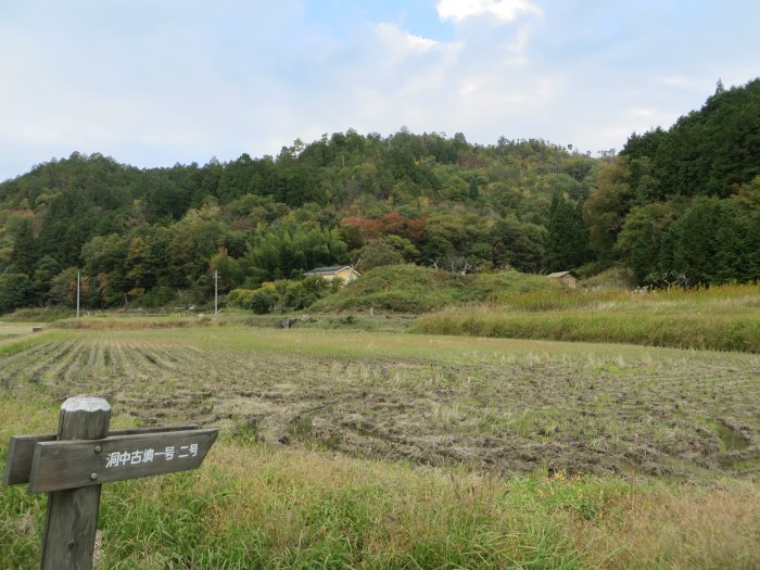 丹波篠山市曽地中/洞中古墳二号写真