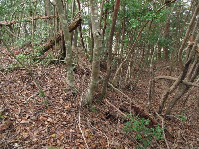 丹波篠山市野々垣/寺山写真