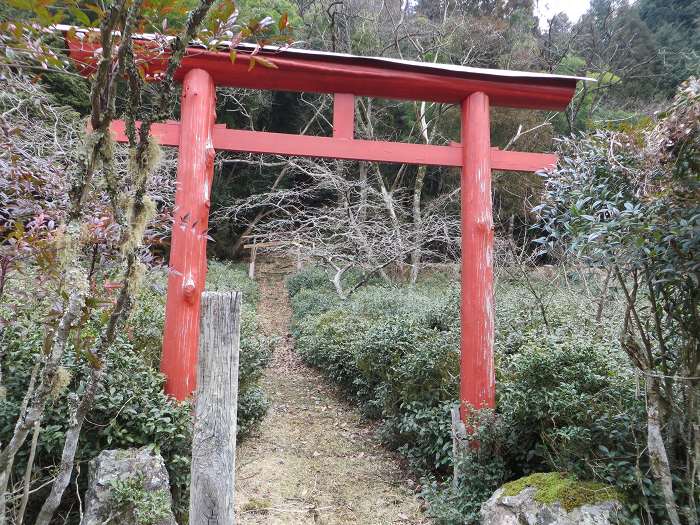 丹波篠山市曽地奥/稲荷神社写真