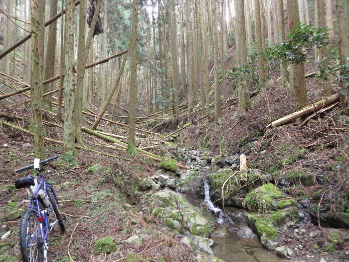 丹波篠山市小多田/仮称小多田母子峠写真