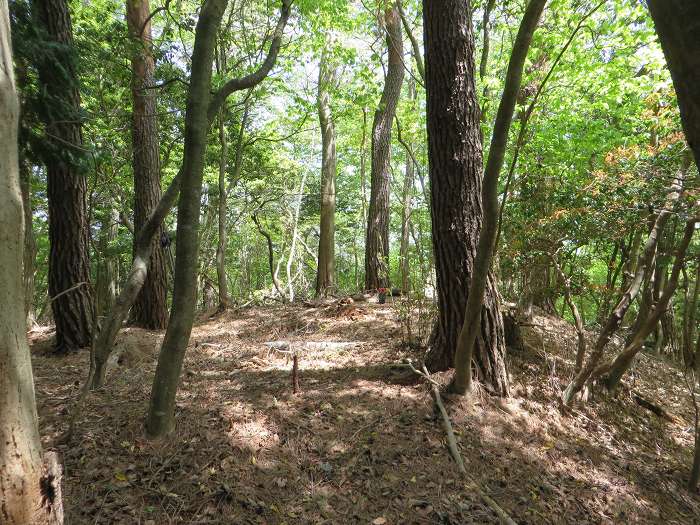 丹波篠山市曽地奥/高嶽写真