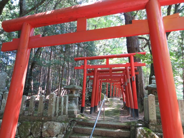 丹波篠山市後川中/後川稲荷神社写真