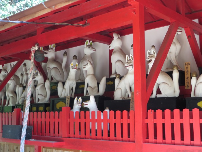 丹波篠山市後川中/後川稲荷神社写真