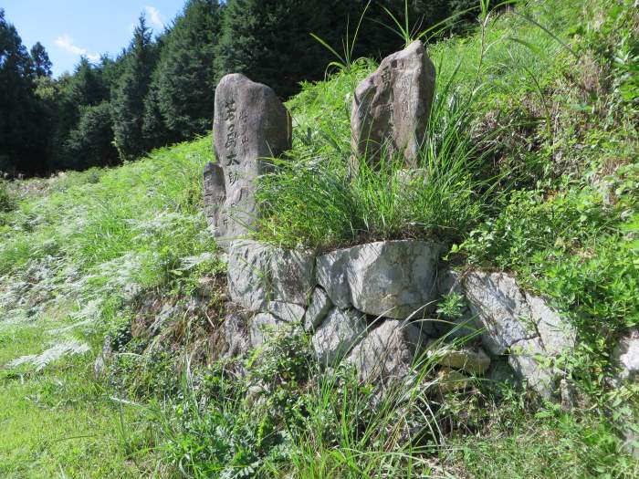 丹波篠山市後川上/力士碑写真