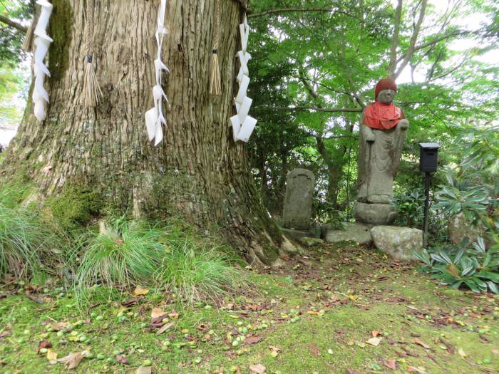 丹波篠山市後川中/太平山清陰寺写真