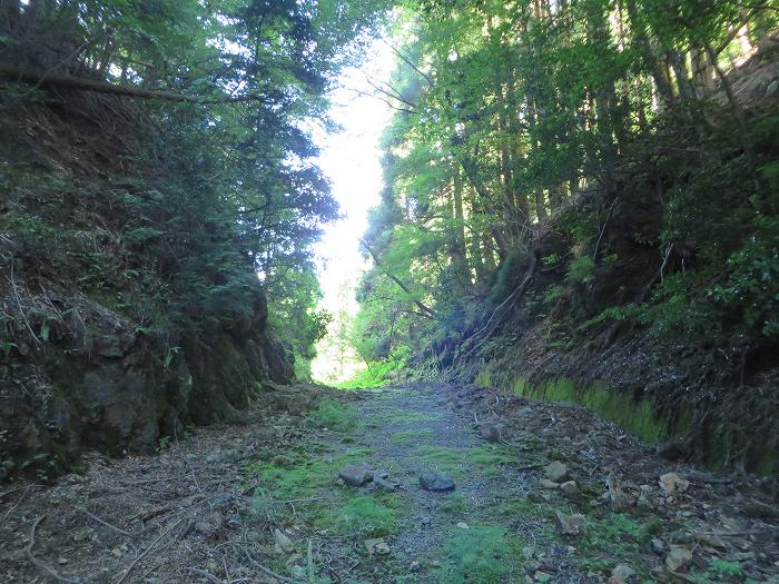 丹波篠山市後川上/古坂峠写真