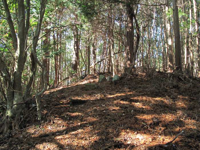 丹波篠山市曽地奥/高嶽写真