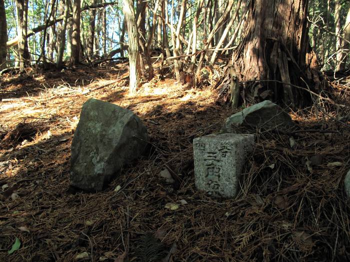 丹波篠山市曽地奥/高嶽写真