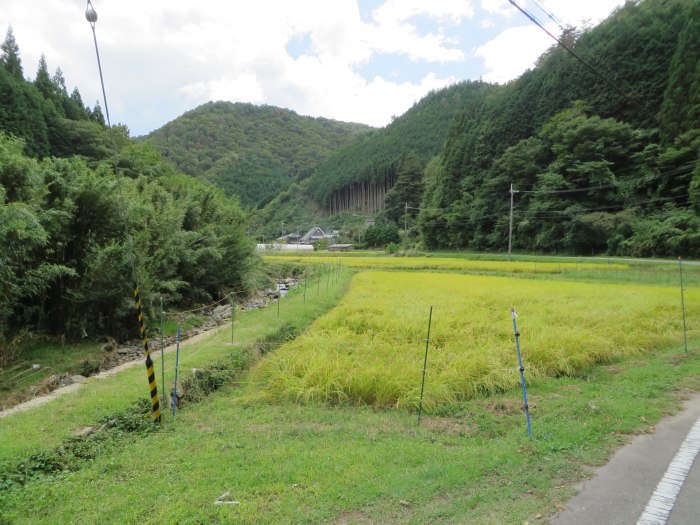 丹波篠山市後川新田/景色写真