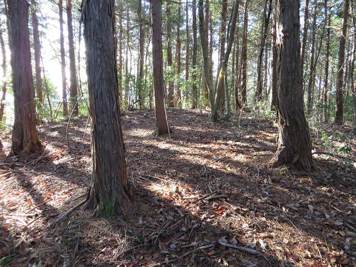 丹波篠山市後川新田/丈山写真