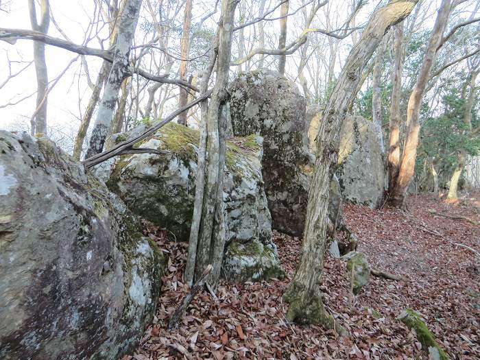 丹波篠山市辻/シドロ北峰写真