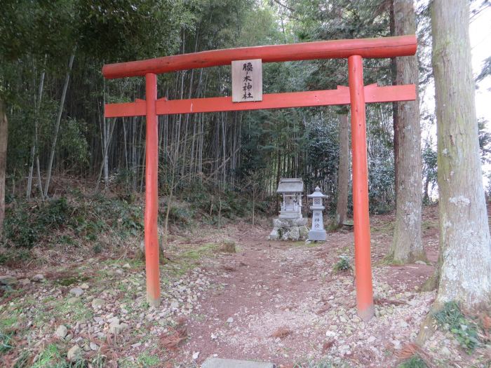 丹波篠山市味間南/腰ノ木神社写真