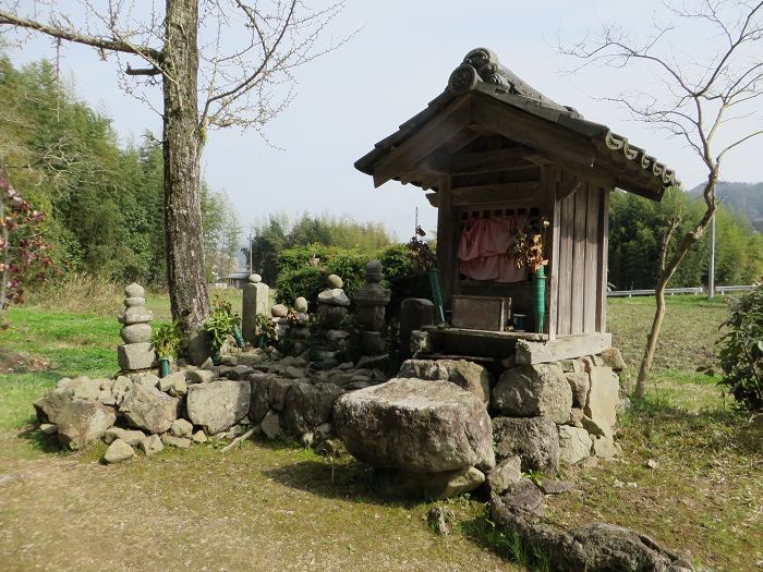 丹波篠山市味間北/往生寺写真