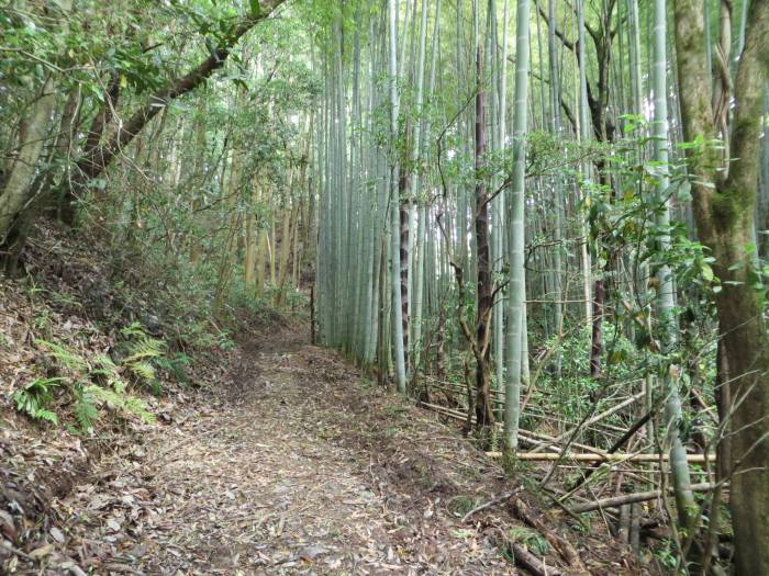 丹波篠山市東吹/大谷新池写真