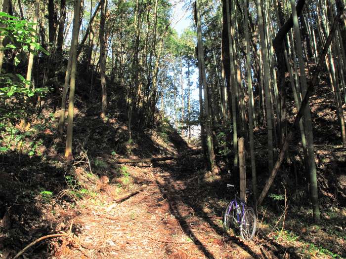 丹波篠山市
東吹/東城山・吹城跡