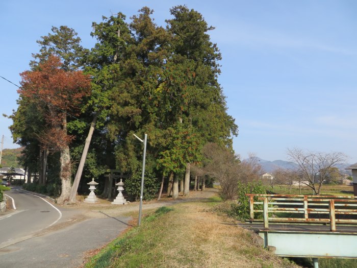 丹波篠山市野中/春日神社写真