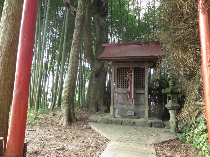 丹波篠山市北/東護山医王寺北稲荷写真