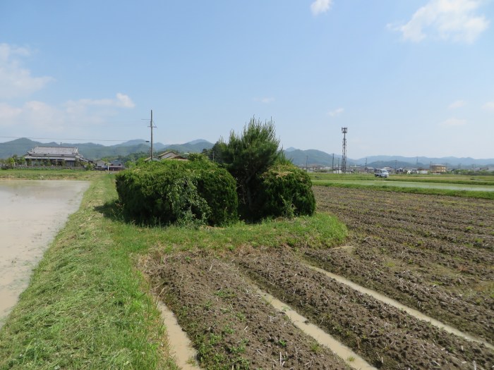 丹波篠山市北/祠写真