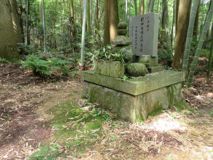 丹波篠山市八上内/春日神社写真