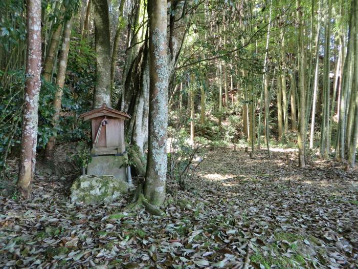 丹波篠山市八上上/神社写真