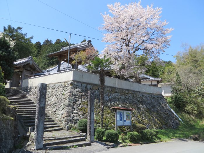 丹波篠山市西荘/龍池山金剛寺写真