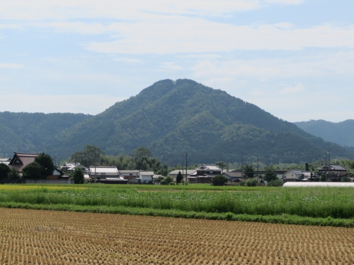 丹波篠山市殿町/高城山八上城跡写真