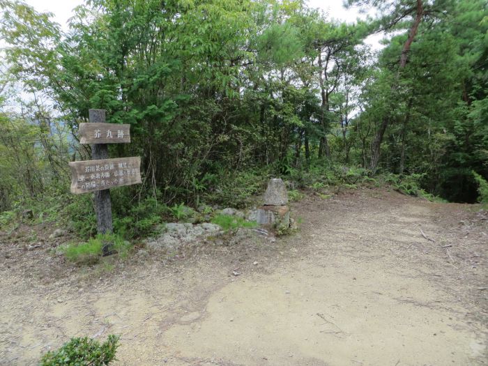 丹波篠山市殿町/高城山八上城跡写真