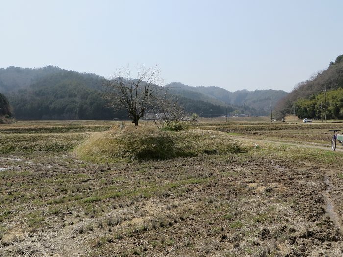 丹波篠山市野々垣/神明塚古墳写真