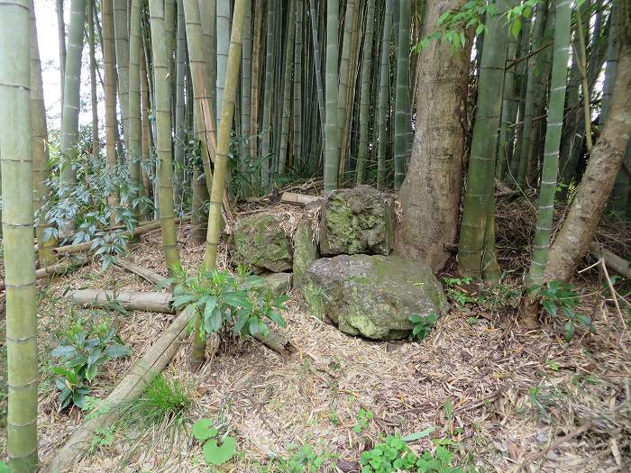 丹波篠山市泉/石塚古墳写真