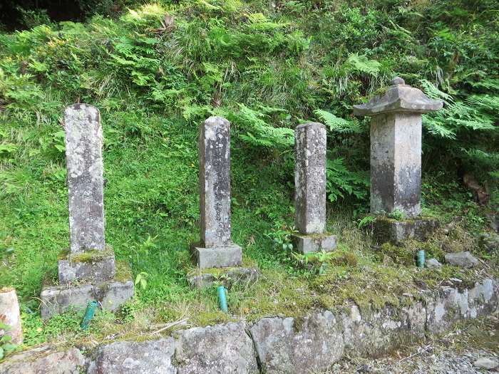 丹波篠山市八上上/長亀山石心寺写真