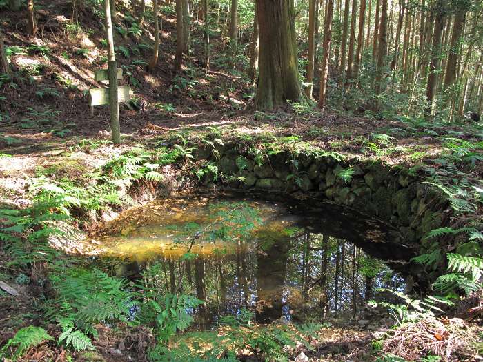 丹波篠山市殿町/高城山八上城跡写真