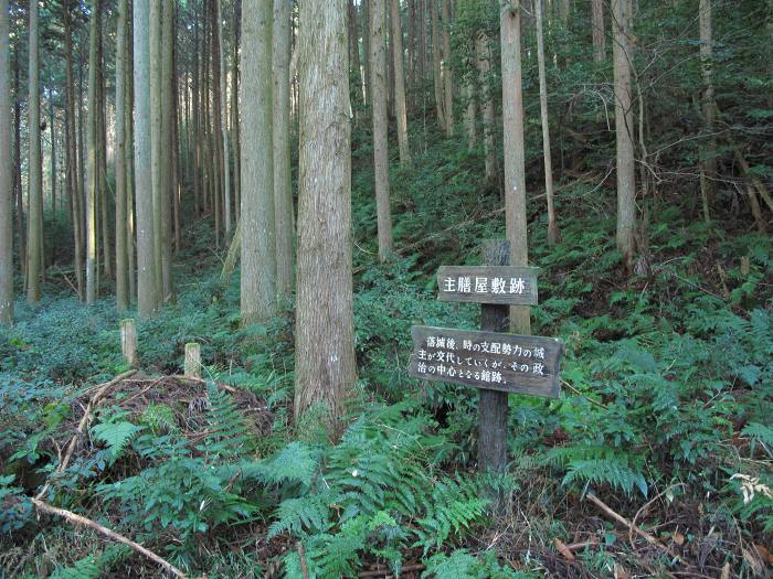 丹波篠山市殿町/高城山八上城跡写真