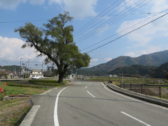 丹波篠山市上宿/六本柳写真