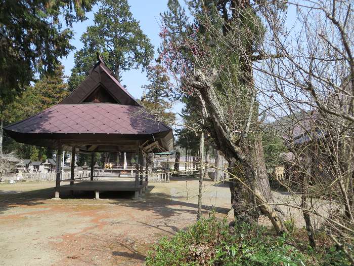 丹波篠山市日置/磯宮八幡神社老紅梅写真